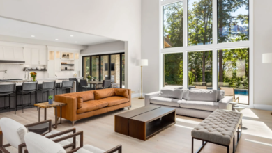 Boost Curb Appeal Instantly With Modern Window Replacement Solutions